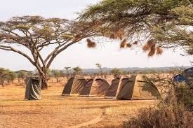 3 days tanzania private mid-range safari 
